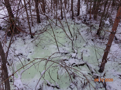 Росприроднадзор отобрал пробы почвы на месте разлива нефтепродуктов в Новгородской области 